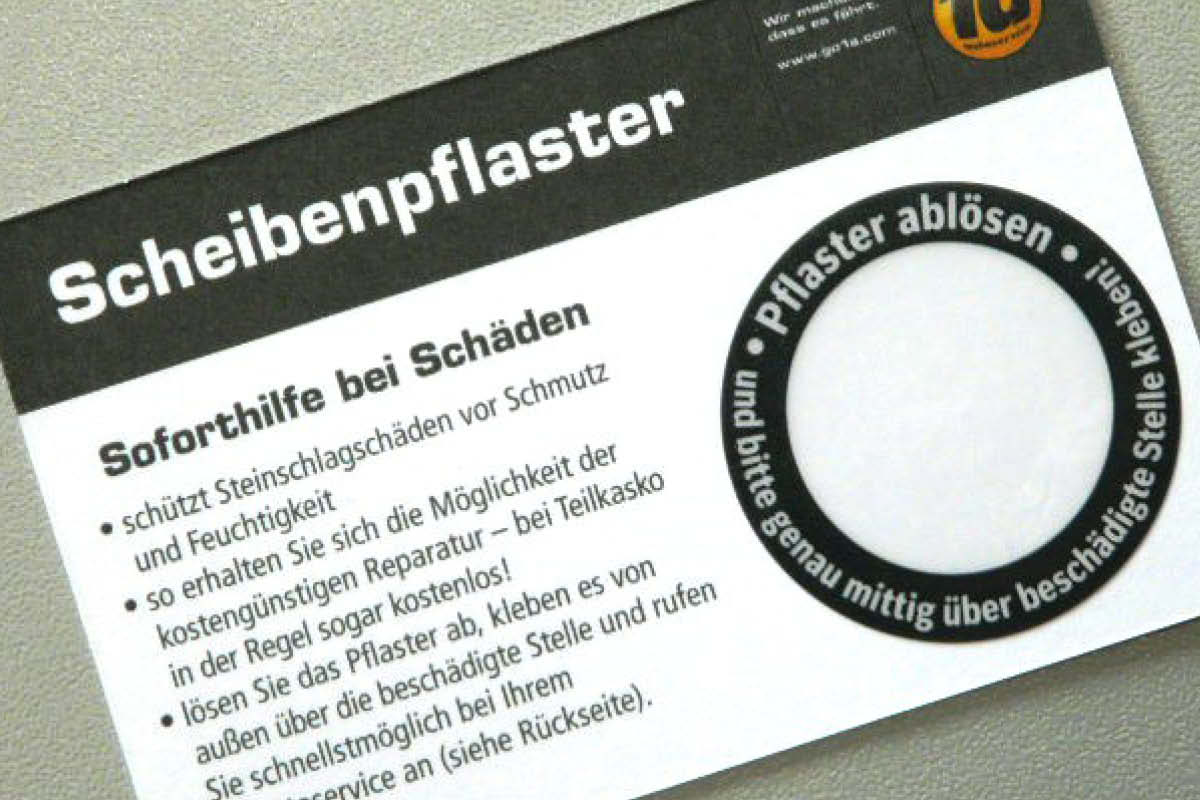 Scheibenpflaster